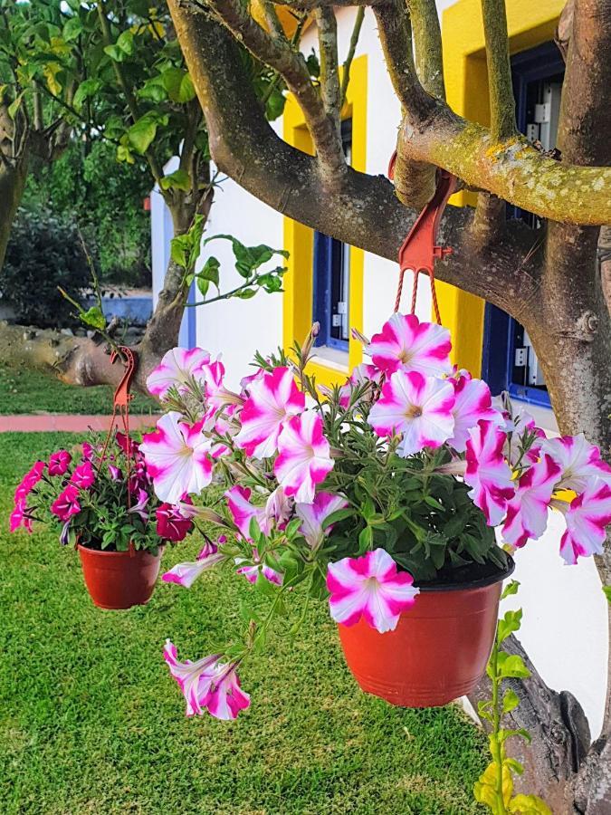 Sondela Self Catering Villa Sao Martinho do Porto Ngoại thất bức ảnh