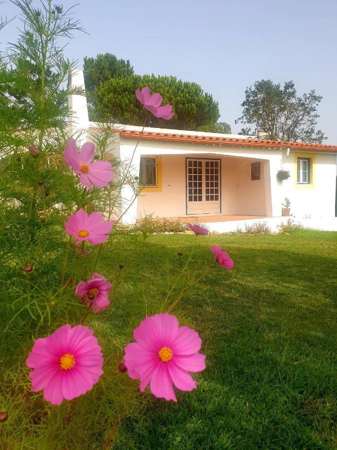 Sondela Self Catering Villa Sao Martinho do Porto Ngoại thất bức ảnh