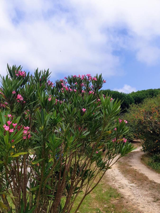 Sondela Self Catering Villa Sao Martinho do Porto Ngoại thất bức ảnh